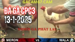 Full video xem lại Đá gà trực tiếp CPC1 hôm nay ngày 13-1-2024