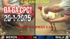 Video xem lại Đá Gà Trực Tiếp thomo ở bồ CPC1 tại campuchia Ngày 20-1-2025