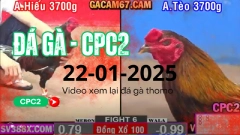 Video xem lại Trực Tiếp đá gà thomo bồ CPC2 tại campuchia Ngày 22-1-2025.dagatructiep1